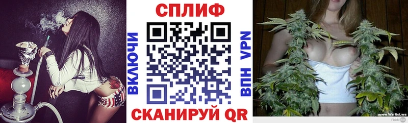 Канабис SATIVA & INDICA  МЕГА как войти  Карасук  как найти наркотики 